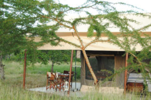 Tent Tanzania Bush Camp